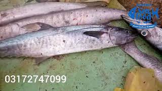 Karachi fishery fish purchasing [upl. by Phillis]