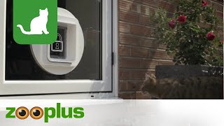 SureFlap Mikrochip Haustierklappe  zooplus [upl. by Levona216]