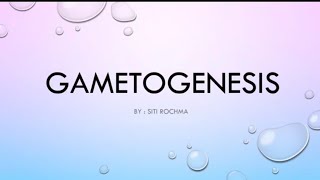 Gametogenesis gametogenesis sel biologi gamet materikelasxi [upl. by Eniluqaj]