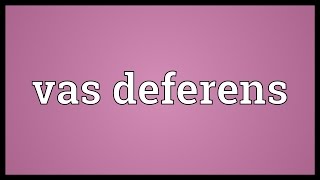 Vas deferens Meaning [upl. by Gilder]