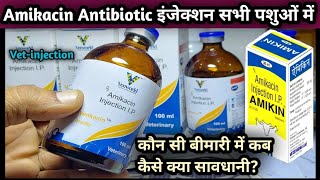 VetinjectionAmikacin Antibiotic use in AnimalsKonsi Disease mein kab kase lagayeAmikinVenkac [upl. by Sueahccaz]