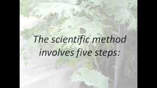 The Scientific Method Presentation [upl. by Bolton]