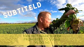 van biet naar suiker vlog 143 [upl. by Eenal]