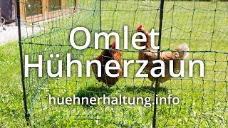 Produkttest Omlet Hühnerzaun  huehnerhaltunginfo [upl. by Arahc]