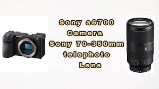 wildlife photography of Sony a6700 camera with Sony 70350mm telephoto lens video sample [upl. by Eizzil]