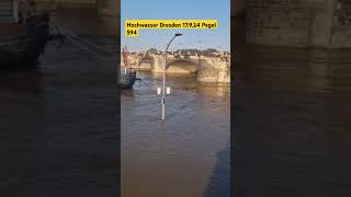 Dresden Hochwasser 17924 news hochwasser [upl. by Silverts]