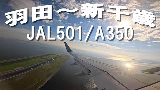 羽田空港C滑走路を離陸するエアバス３５０新千歳行ＪＡＬ５０１便 [upl. by Phyllys154]