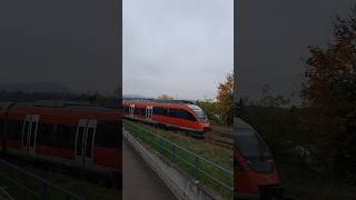 BR 644 029 der Deutsche Bahn in Grenzach deutschebahn dbregio trainspotting shorts yt [upl. by Idolah]