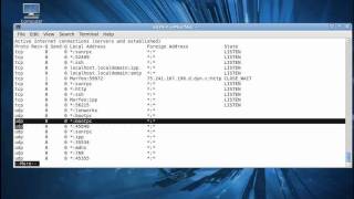 Comando NETSTAT  Parte 9 de 11  Curso de Linux  Capacity [upl. by Nevanod702]