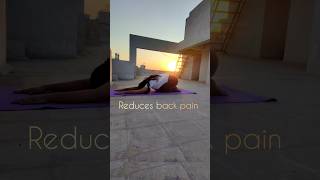 Rabbit yoga pose backpain yoga yogagirl yotubeshorts shorts yogaasana dailyyoga [upl. by Ettigirb]