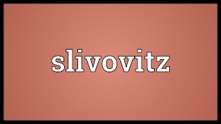 Slivovitz Meaning [upl. by Dorr]