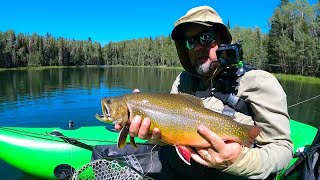 Why Are These Brook Trout So Picky  Fly Fishing Travel Vlog [upl. by Edia308]