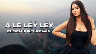 Elsen Pro  A Le Ley Ley Tiktok Remix [upl. by Eirelav]