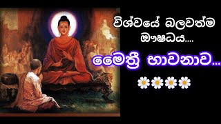 Maithree Bawanawa l මෛත්‍රී භාවනාව [upl. by Larret40]