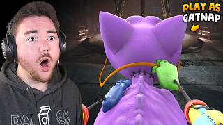 WE CAN PLAY AS CATNAP Rideable Catnap Mod  Poppy Playtime Chapter 3 Gameplay Mods [upl. by Aieki]