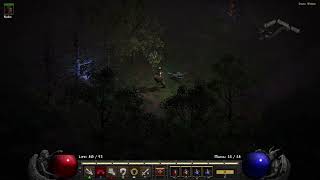 DIABLO II RESURRECTED Paladin Dark Wood Demon Minion Undead 040824 [upl. by Namlaz]