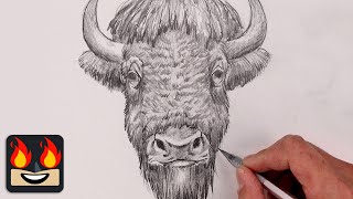 How To Draw a Bison  Sketch Tutorial [upl. by Adria]