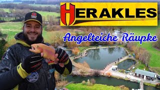 Jahresauftaktsangeln bei den Angelteichen Räupke  HERAKLES Trout Area Germany [upl. by Nonek719]