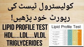 How to Read Cholesterol Test Report Urdu Hindi  Lipid profile Test  HDL LDL amp Triglycerides Test [upl. by Eiffe]