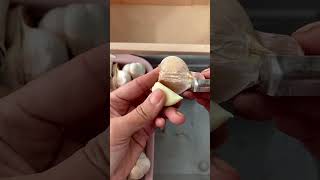 Garlic peeling tool satisfying [upl. by Alanson]