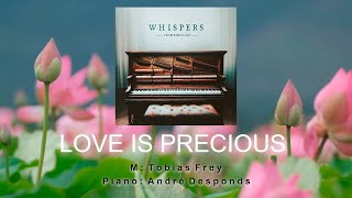 Love is Precious Official Music Video  Whispers from the Piano  Tobias Frey [upl. by Ahsilav]