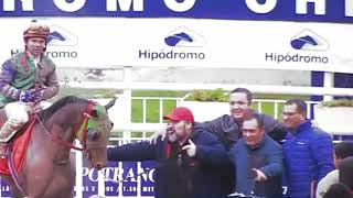 1er Triunfo de quotKe PersonajequotComienzan a PrepararseHipodromo Chile [upl. by Arrol]