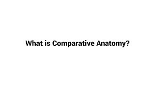 What is Comparative Anatomy [upl. by Garlen]