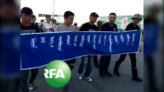 Herders Stage Rare Protest in Inner Mongolia [upl. by Katzman]