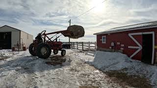 Allis Chalmers D17 Series IV and Farmhand F11 loader use bale spear get the cows ready for the snow [upl. by Repotsirhc730]