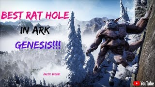 BEST RAT HOLE IN GENESIS Arctic Biome [upl. by Atekahs]