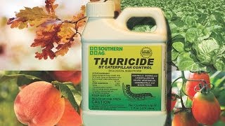 SOUTHERN AG THURICIDE BT Caterpillar Control [upl. by Eneladgam]