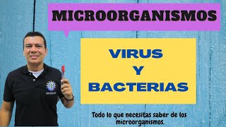 VIRUS Y BACTERIAS que son como se clasifican características e impacto ecológico [upl. by Adnawuj58]