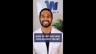 How to Get Rid of Dog Allergies Naturally [upl. by Notneuq956]