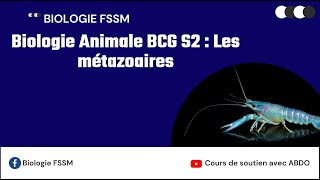 Biologie Animale BCG S2  Les métazoaires [upl. by Nnairrehs]