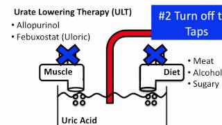 Understanding Gout [upl. by Bigg]