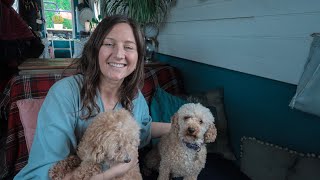 What Its Like to Live With Two Dogs on a Narrowboat [upl. by Walcott]