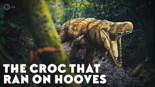 The Croc That Ran on Hooves [upl. by Neelyad338]