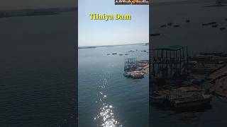 Tilaiya Dam tilaiya dam reservoir jharkhand youtubeshorts shortsvideo shorts artubeindia96 [upl. by Ringler]