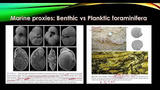 Application of Micropaleontology By Rumela Bhowmick Msc IIT Bombay PhD IIT KGP [upl. by Airamas57]