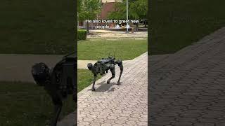 Meet Jeremy The Tactical RoboDog robodog robort militarydogs usarmy shortsvideo [upl. by Monro750]