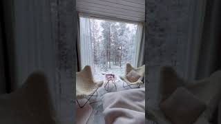 Imagine waking up at the North Pole explore adventure nature Top10 fun ytshorts [upl. by Cull]