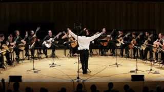 Camerata Argentina de Guitarras Danza Final Malambo A Ginastera [upl. by Lliw]