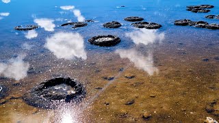 Hypersaline Lakes amp Stromatolites [upl. by Cutlor517]