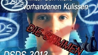 DSDS 2012  Hinter den nicht vorhandenen Kulissen der PARODIE ANIMATION [upl. by Stevena700]