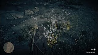 Red Dead Redemption 2 Wild Mint Common Bulrush Burdock Root Location [upl. by Raknahs721]