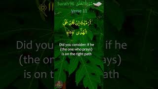 Surah AlAlaq  Surah 96  Dr Subayyal Ikram  English Translation [upl. by Charyl]