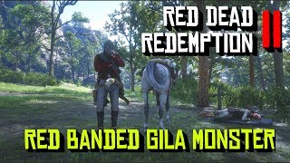 Red Dead Redemption 2 Red banded Gila Monster locations [upl. by Lilyan103]