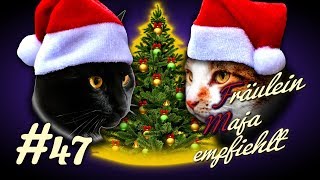 KATZENSICHERER WEIHNACHTSBAUM  so wird der Weihnachtsbaum katzensicher Maja empfiehlt Teil 47 [upl. by Stanley]