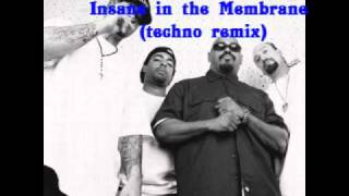 Insane in the Membrane techno Remix [upl. by Gipsy741]