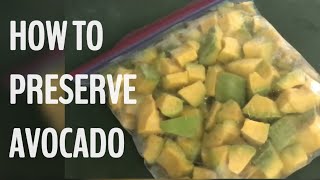 HOW TO PRESERVE AVOCADO [upl. by Aivuy]